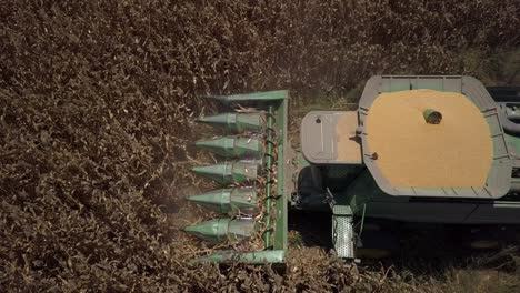 corn harvesting in field with combine harvester