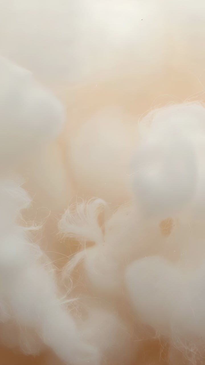 Vertical video: Panning camera revealing soft white tufts on warm beige backing, showing texture