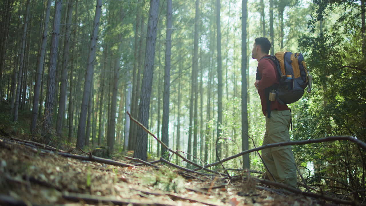 Man hiking in a forest with a backpack