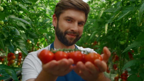 trabajador agrícola sosteniendo la cosecha de verduras en un invernadero cálido