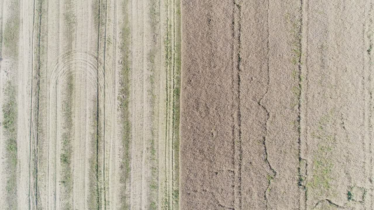 Various Agriculture Fields Aerial View