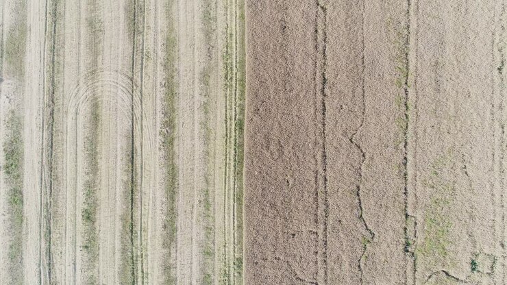 Various Agriculture Fields Aerial View
