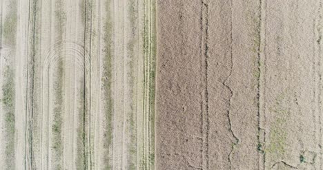 Verschiedene-Landwirtschaftliche-Felder-Luftaufnahme