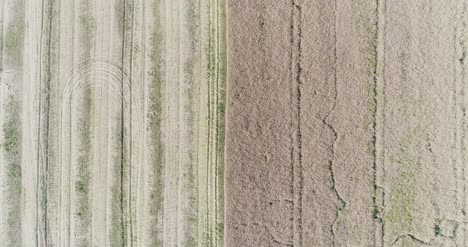 various agriculture fields aerial view