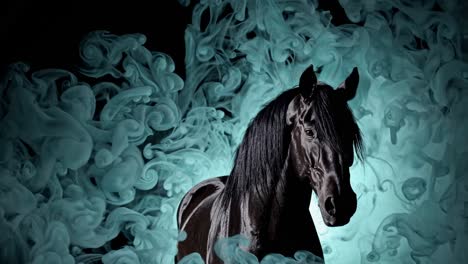 black horse in teal smoke