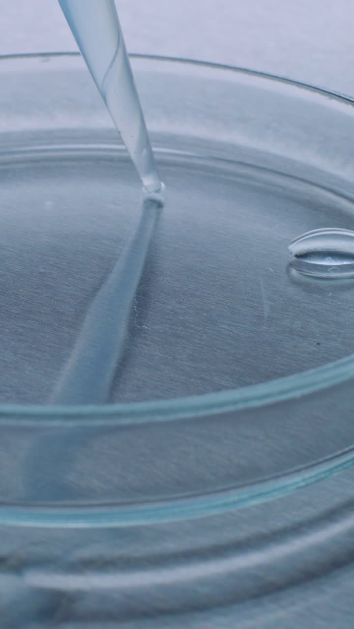 transferencia de líquido en una placa de petri