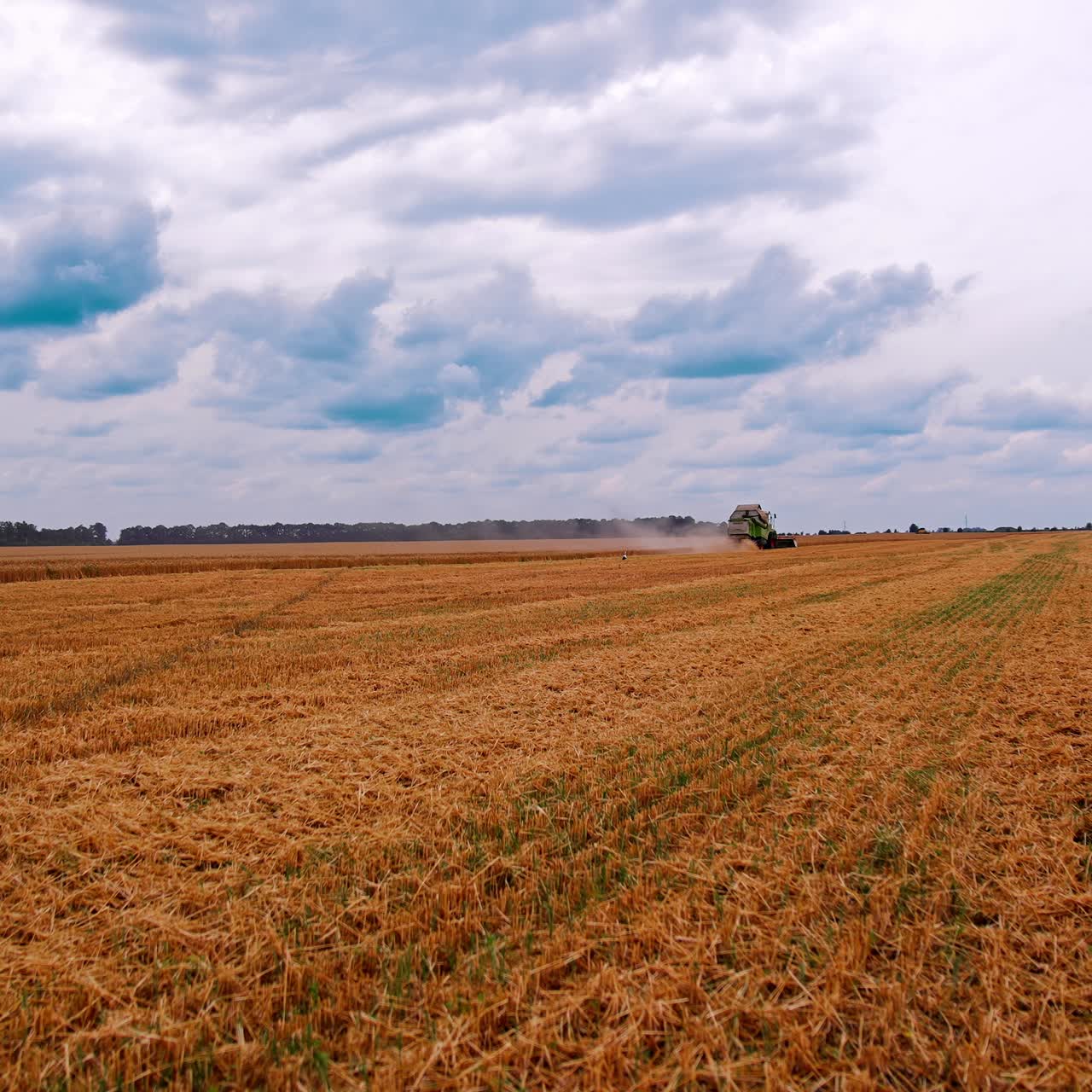Lavori stagionali nel campo agricolo. Vista panoramica sul campo dopo la raccolta del grano. Mietitrebbia che raccoglie il raccolto maturo in un terreno agricolo