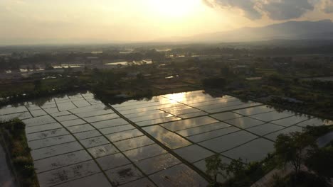 aerial drone of scenic watery rice fields with sunset reflection, mountains and landscape in chiang rai, thailand