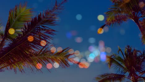 Palm-trees-surrounded-by-bokeh-effect-against-blue-sky