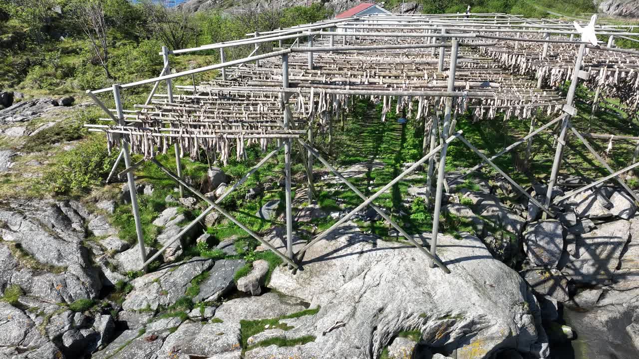 Rising aerial tilting down over full stockfish racks in Henningsvaer Lofoten Norway