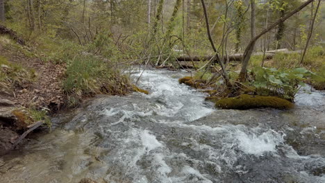 fast flowing water and waterfalls of the plitvice national park in croatia