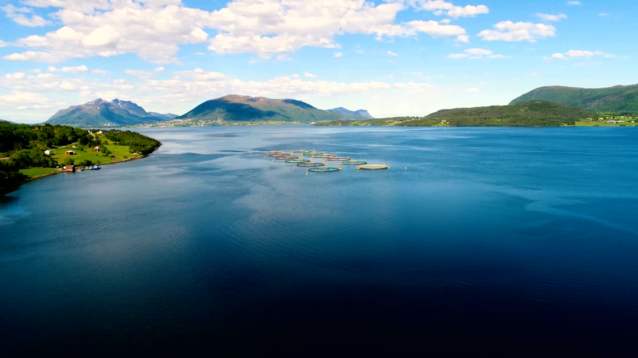 노르웨이에서 연어  ⁇ 시를 하는 공중 촬영