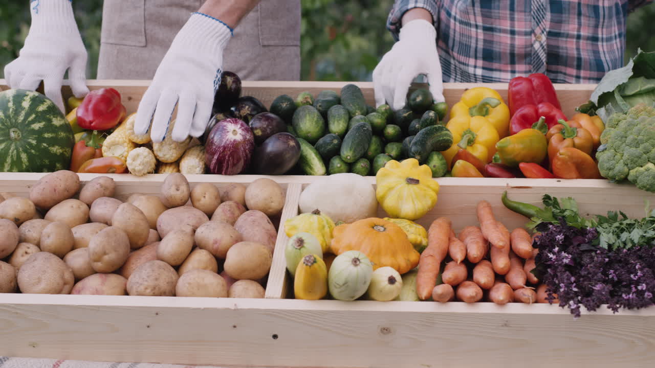 manos de granjeros llenan el mostrador con verduras de temporada