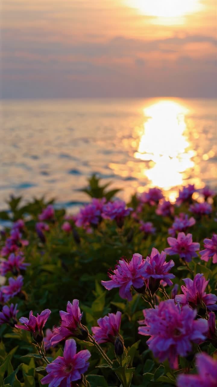 Sunset over ocean with pink flowers in foreground, captured from a low angle