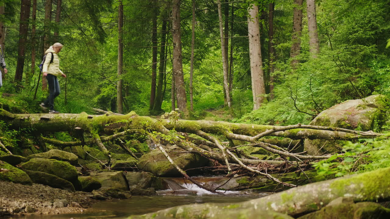 두 명의 관광객이 쓰러진 나무 모험과 활동적인 삶의 방식을 따라 산 강을 건너다 4k vi