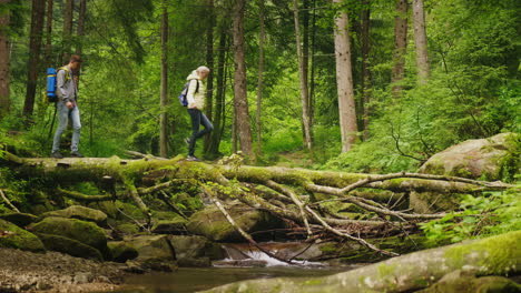 dos turistas cruzan el río de la montaña a lo largo de las aventuras de un árbol caído y una forma de vida activa 4k vi