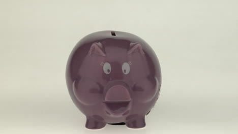 a woman's hand puts a coin into a pink piggy bank