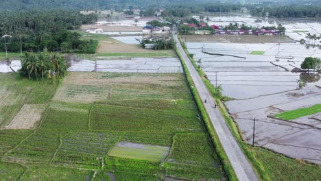 Largo-Camino-Asfaltado-Entre-Arrozales-Cerca-Del-Pueblo-En-El-Municipio-De-San-Bernardo,-Provincia-De-Leyte-Del-Sur,-Filipinas