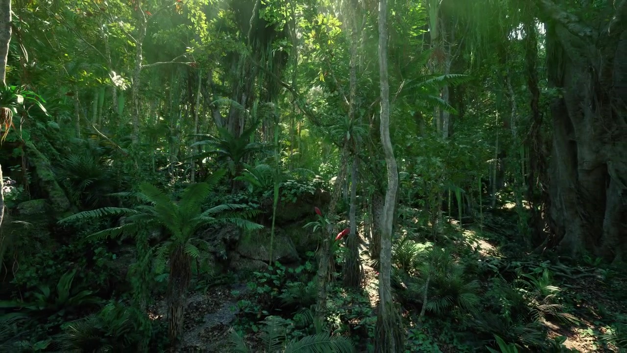 Area di ricerca in una fitta foresta pluviale con analisi della volta forestale e del sottobosco