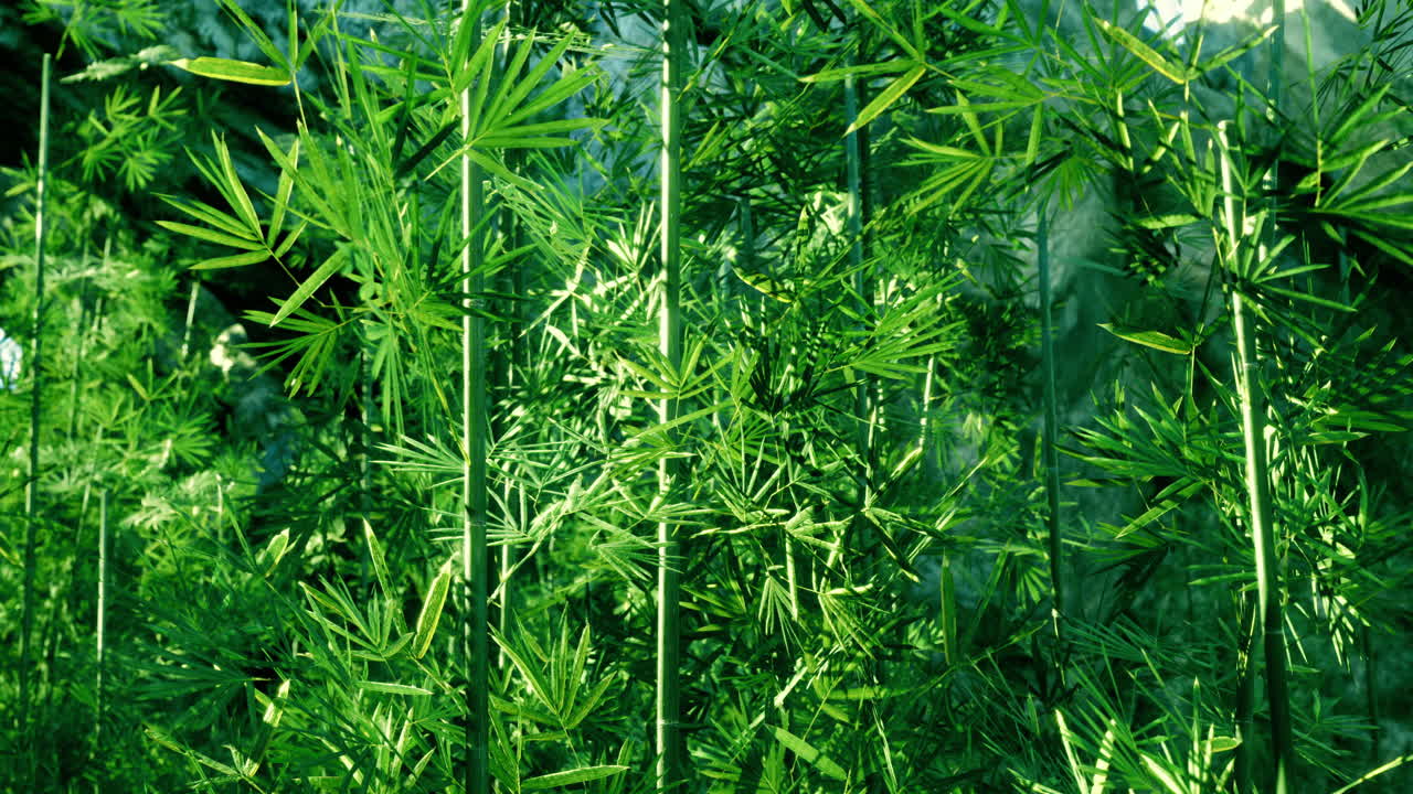 Lush green plants thriving in a daylight filled indoor garden space