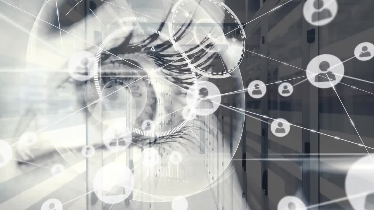 아이콘과 서버  ⁇ 을 감시하는 연결 네트워크의 애니메이션