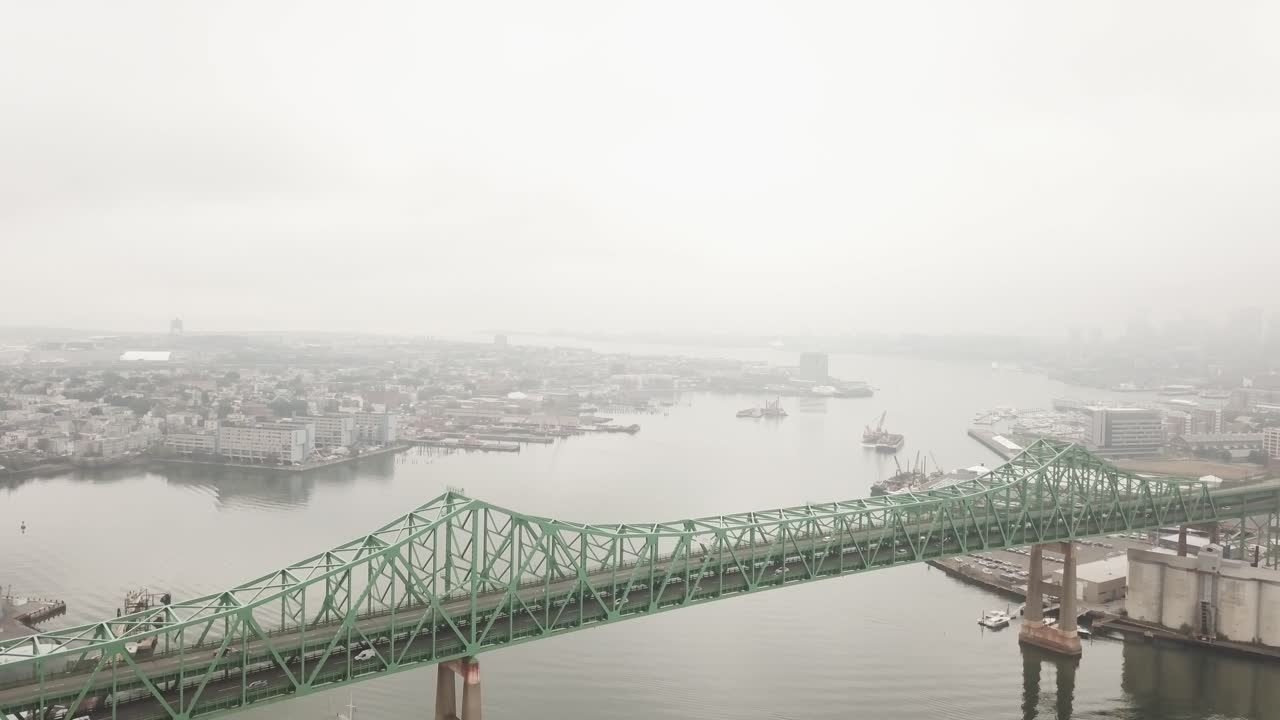 웅장한 녹색 모리스 j