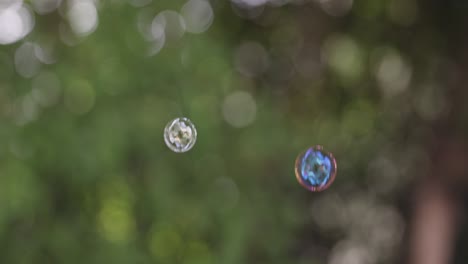 video 4k de burbuja de jabón en cámara lenta volando en el aire con un fondo de árbol verde fuera de enfoque.