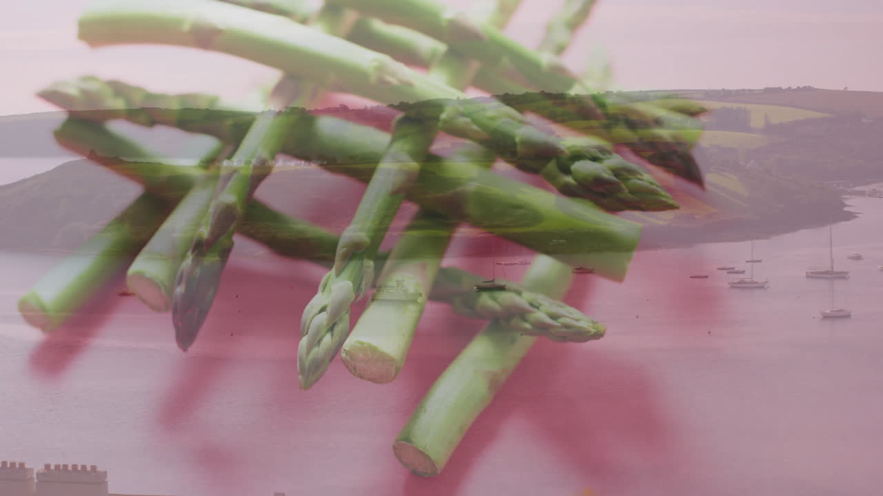 Asparagus spears overlay on serene coastal landscape with boats sailing
