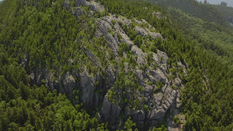 aerial view of a rocky cliff with pine trees growing on top