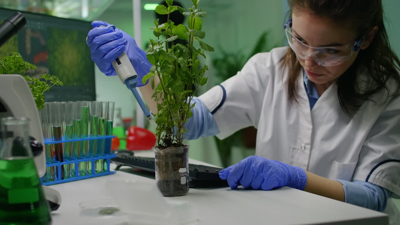 Biochemist scientific taking green liquid with micropieptte puttin on sapling