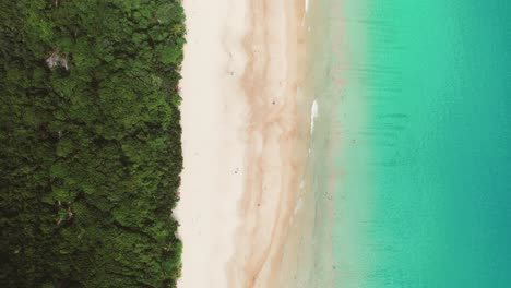 big island ilha grande tropical beach angra dos reis, rio de janeiro, brazil