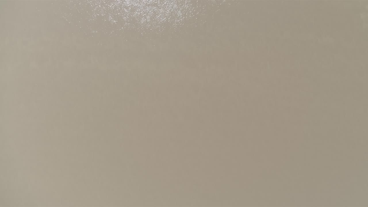 Drone top-down shot over the Amazon River, slowly transitioning to the Amazon Rainforest