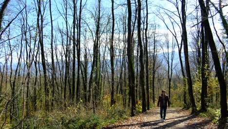 young man walking fall road