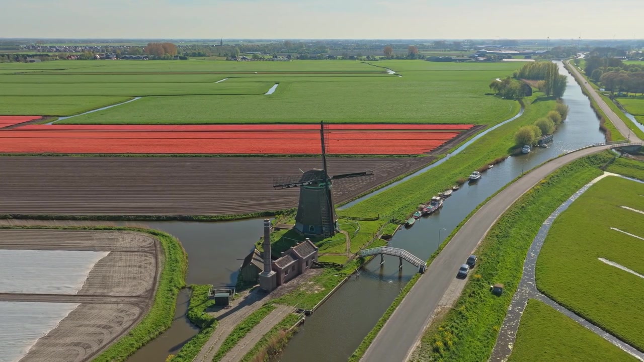 Nederlandsk vindmølle som kretser over røde tulipanfelt og kanaler