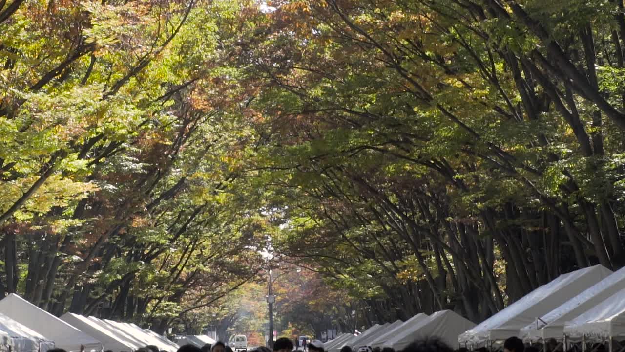 Pan down over Japanese people at festival with white tens and people walking through frame