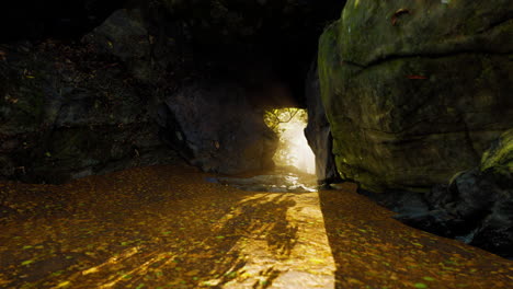 sunlight shining through a cave entrance in a forest