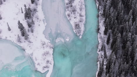 a bird’s-eye aerial shot captures the frozen takhini river and kusawa lake in yukon winter, lined with snow-covered fir trees. contrasting greens and white snow emphasize a inhospitable landscape.