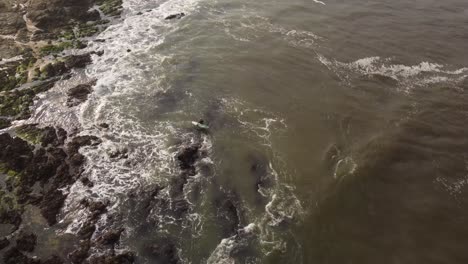 a dynamic orbital aerial footage of a surfer with his surfboard while in the water and slowly moving towards the sea