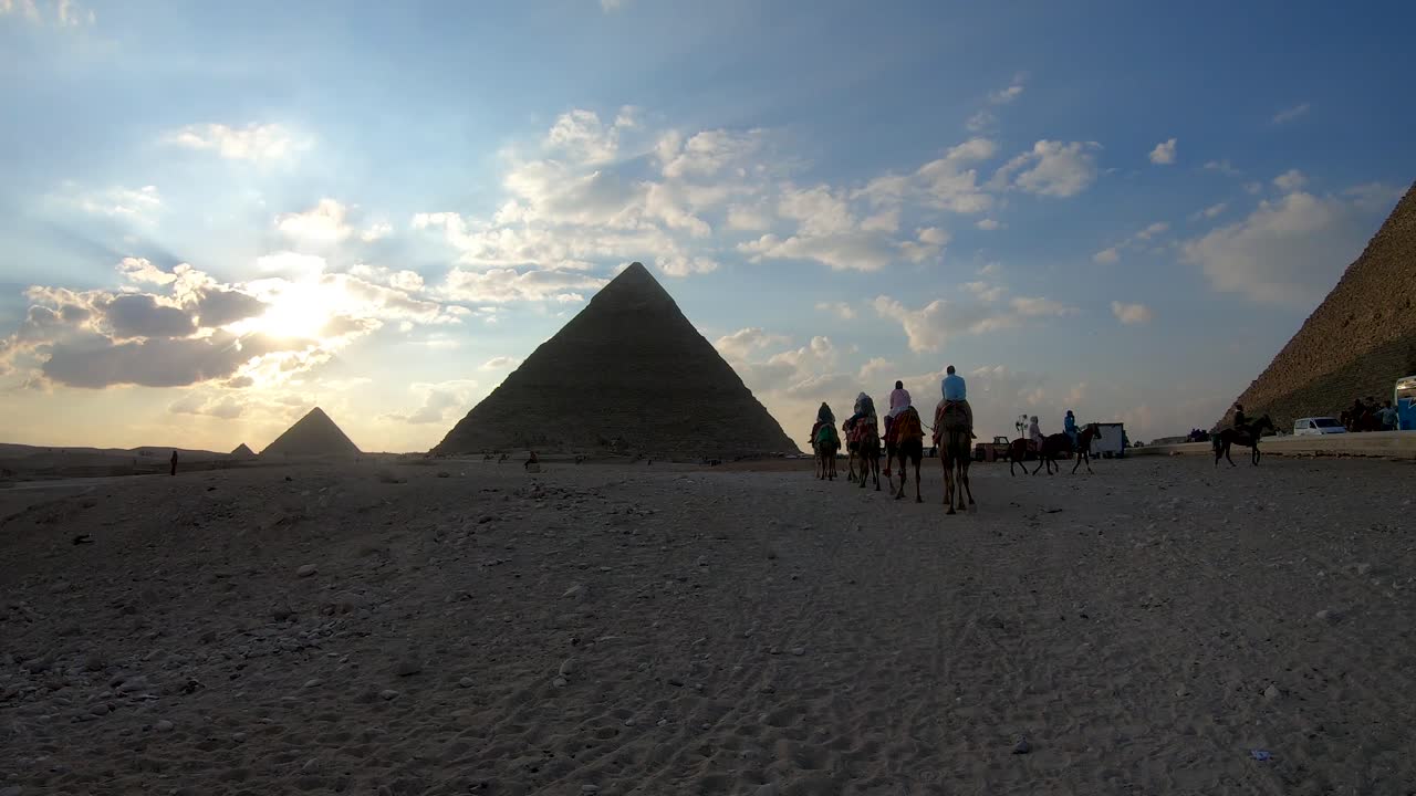 Camels wandering around the pyramids of giza