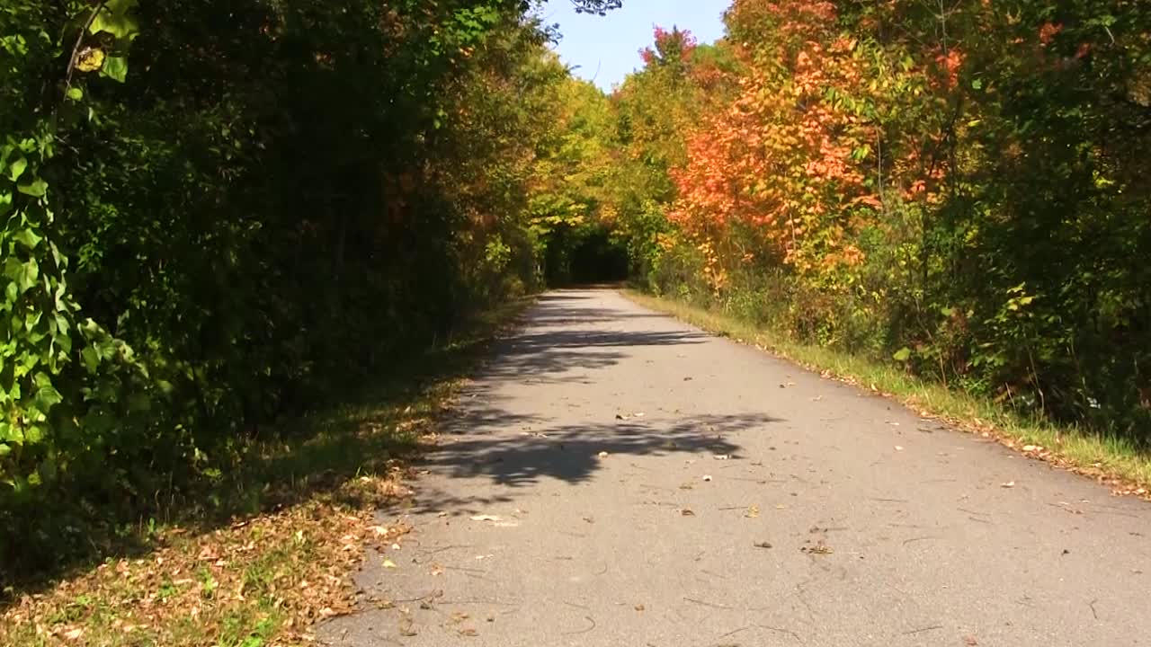 구름 한 점 없는 가을날, 어두운 숲이 우거진 지역을 향해 좁은 황량한 도로를 따라 천천히 이동하며,