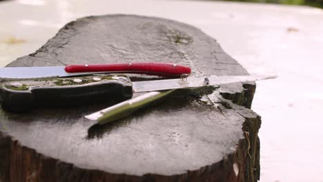 knife on top of the tree stump