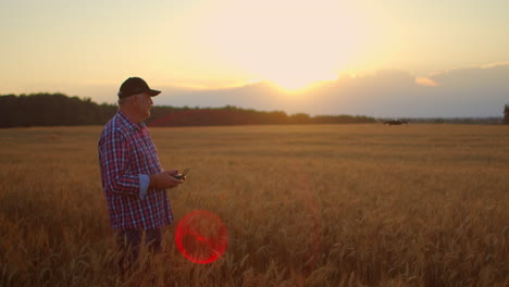 An-elderly-male-agronomist-in-a-field-of-grain-crops-flies-a-drone-using-a-joystick-controller.-An-elderly-man-and-modern-technology.