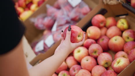 back view of woman picking a red apple from a box of apples, briefly observing it, and then putting it back in a grocery store setting