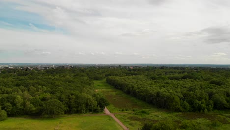 aerial view of wimbledon common with a view of london city, drone descending, establish shot