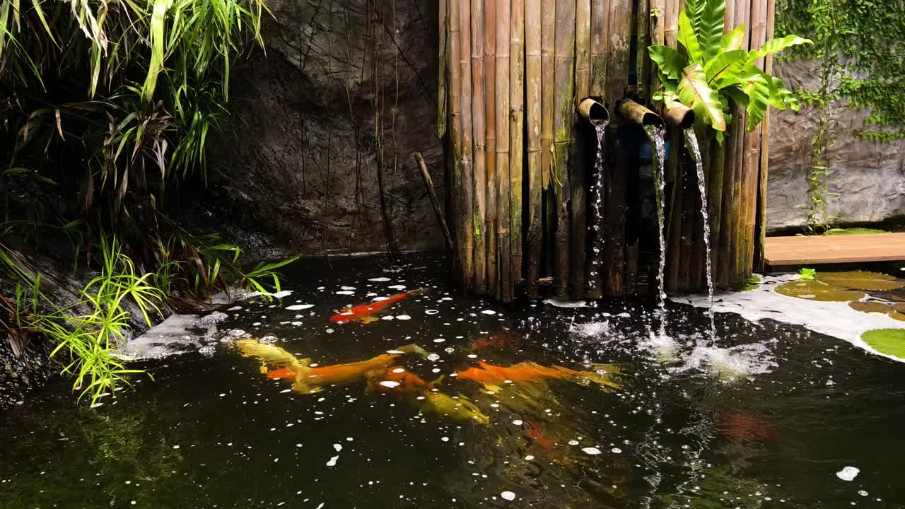Koi Fish Pond with Bamboo Fountain