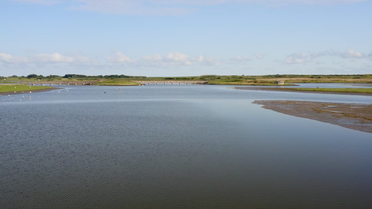 toma aérea de una bandada de gaviotas sobre las dunas de agua - un área natural y un parque recreativo en la provincia de zelanda, países bajos