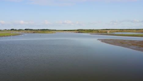 Toma-Aérea-De-Una-Bandada-De-Gaviotas-Sobre-Las-Dunas-De-Agua---Un-área-Natural-Y-Un-Parque-Recreativo-En-La-Provincia-De-Zelanda,-Países-Bajos