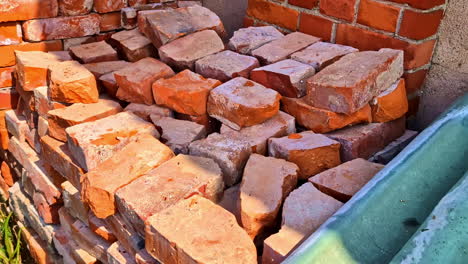 man stacking red bricks beside brick wall in sunny backyard