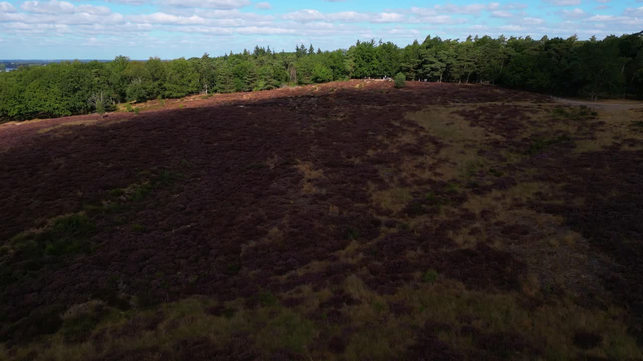 무커하이데, 무크, 림부르크, 네덜란드의 숲과 히스랜드 풍경