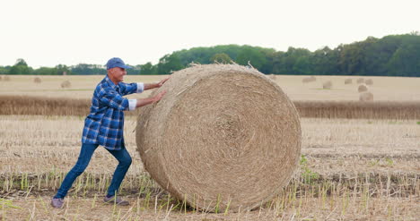 farmer struggling while rolling hay bale at farm 3